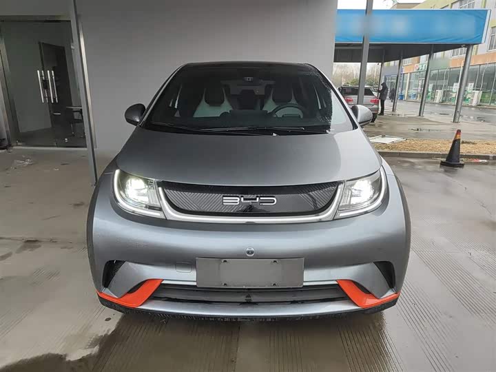 Фото 3 - BYD Dolphin