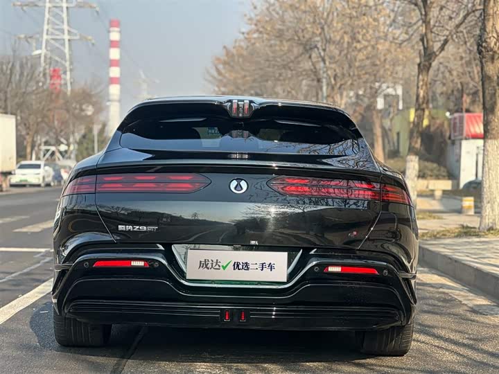 Фото 4 - Denza Z9GT