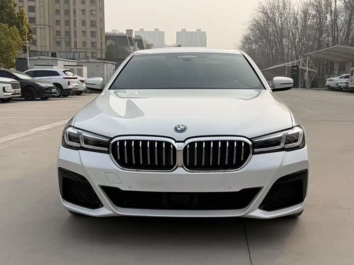 Фото 2 - BMW 5 Series Hybrid