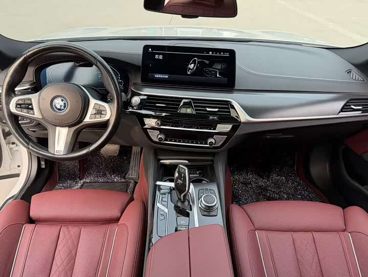 Фото 5 - BMW 5 Series Hybrid