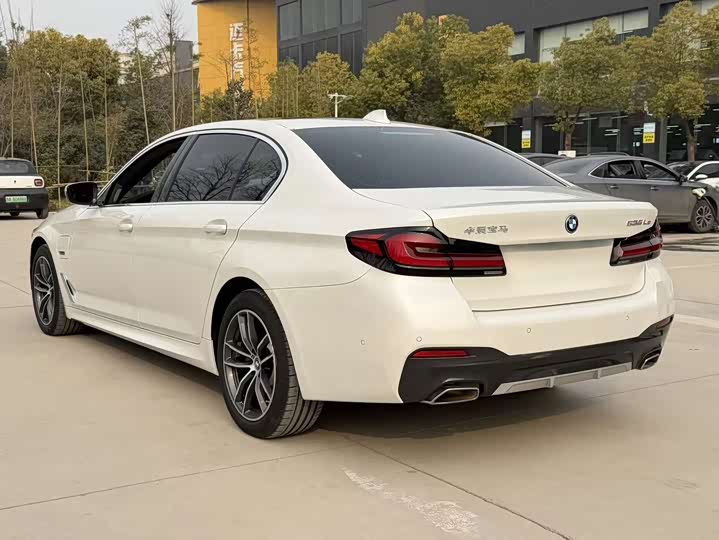 Фото 7 - BMW 5 Series Hybrid