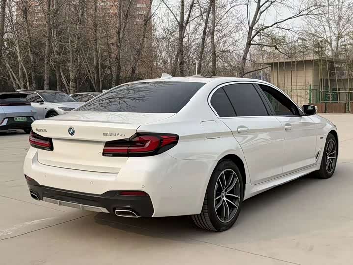 Фото 9 - BMW 5 Series Hybrid