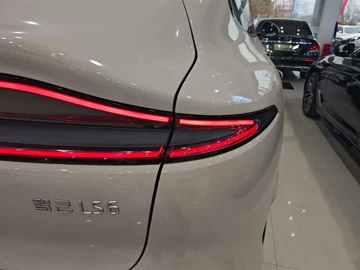 Фото 8 - IM motors LS6