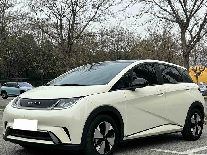 Фото 1 - BYD Dolphin