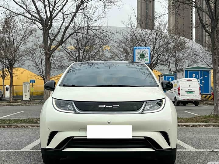 Фото 2 - BYD Dolphin