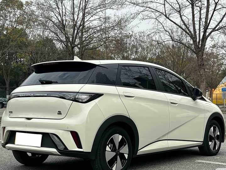 Фото 7 - BYD Dolphin