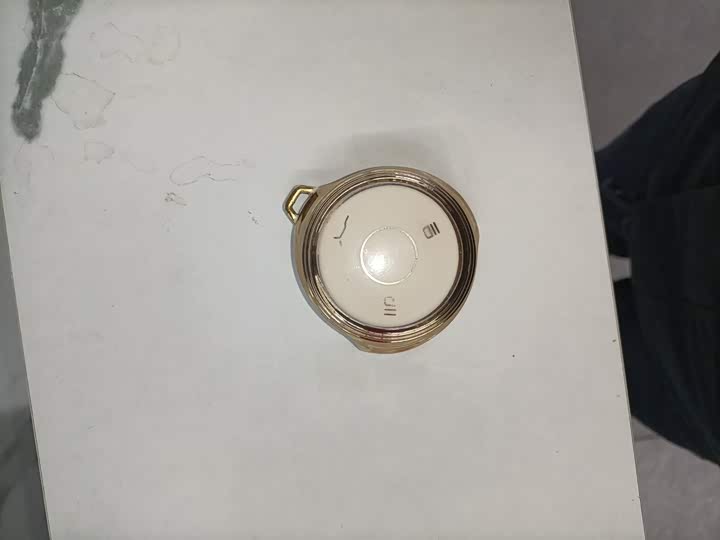 Фото 9 - Hozon V