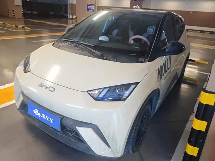 Фото 1 - BYD Seagull