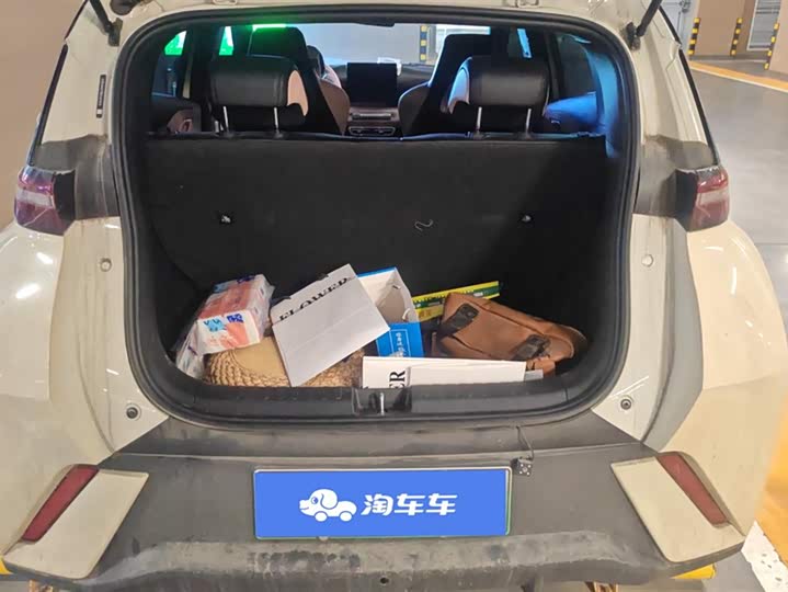 Фото 4 - BYD Seagull