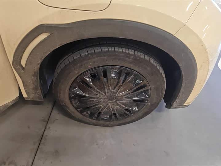 Фото 6 - BYD Seagull