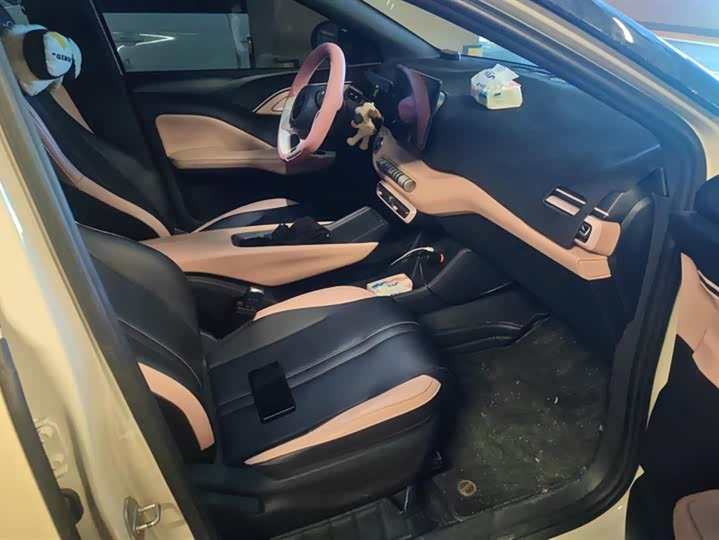 Фото 8 - BYD Seagull