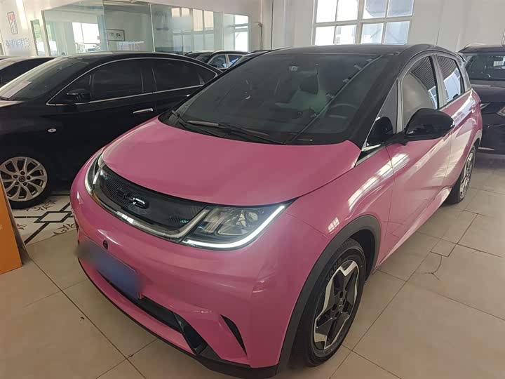 Фото 2 - BYD Dolphin