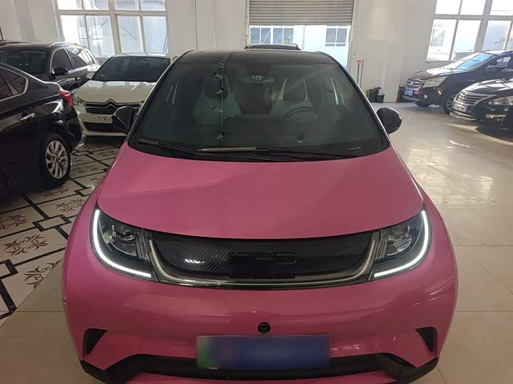 Фото 3 - BYD Dolphin