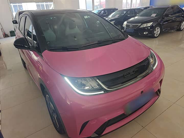 Фото 4 - BYD Dolphin