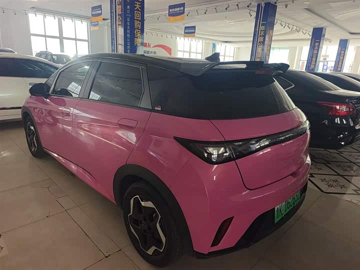 Фото 5 - BYD Dolphin