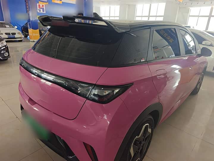 Фото 7 - BYD Dolphin