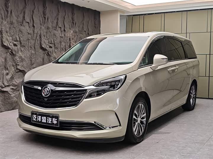 Фото 1 - Buick GL8 ES