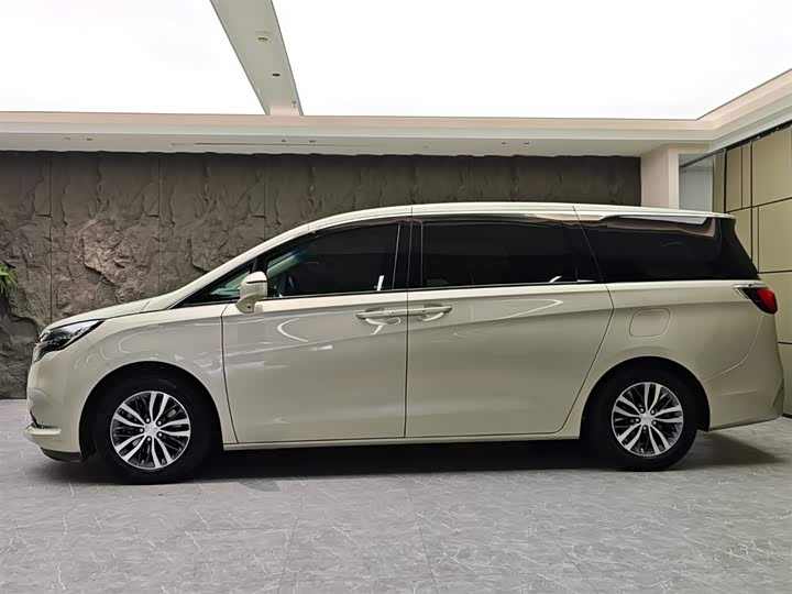 Фото 3 - Buick GL8 ES