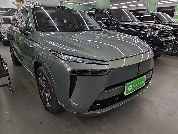 Фото 4 - Wey Lanshan