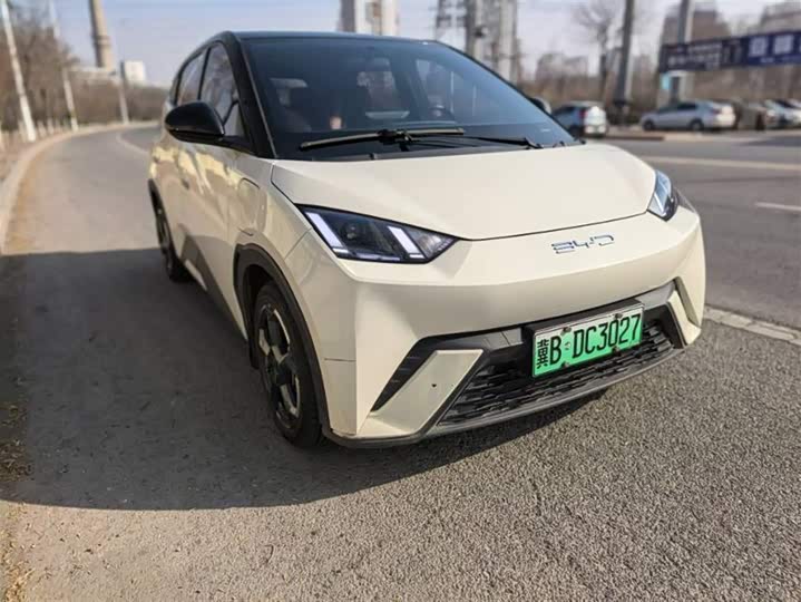 Фото 1 - BYD Seagull