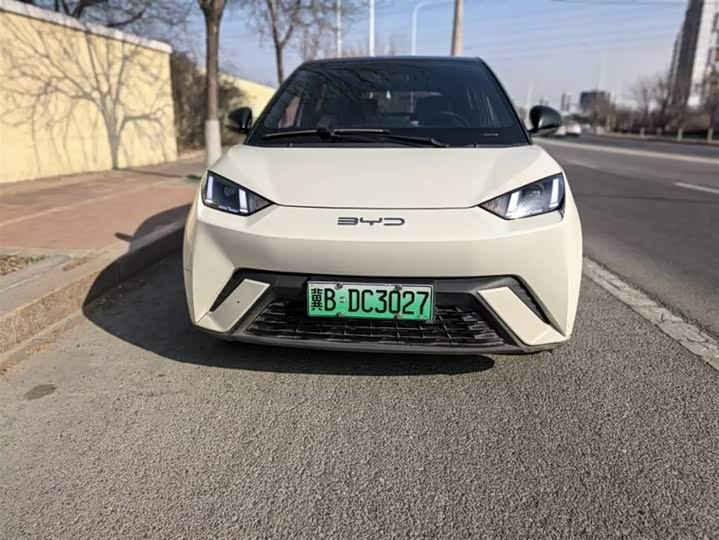 Фото 3 - BYD Seagull