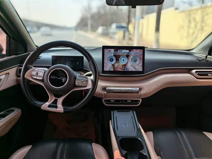 Фото 4 - BYD Seagull