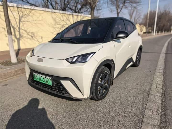 Фото 5 - BYD Seagull