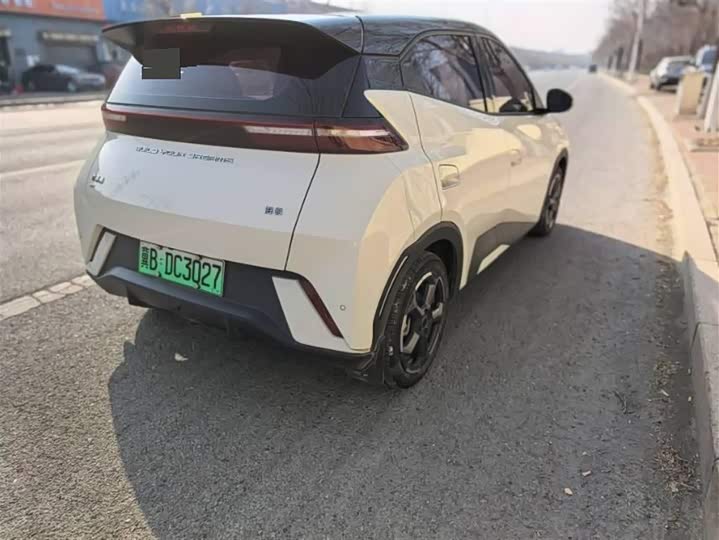 Фото 6 - BYD Seagull