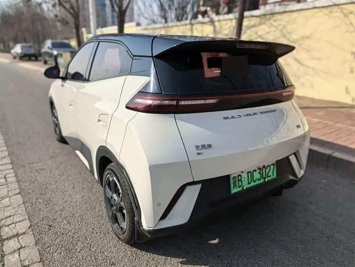 Фото 7 - BYD Seagull