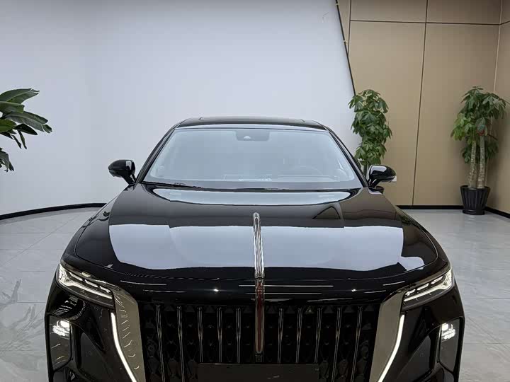 Фото 2 - Hongqi H9