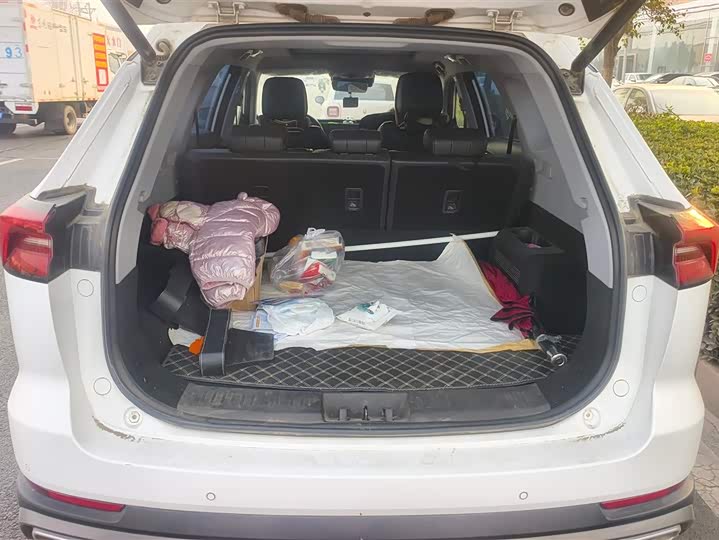 Фото 4 - Chery Tiggo 8 Pro Hybrid