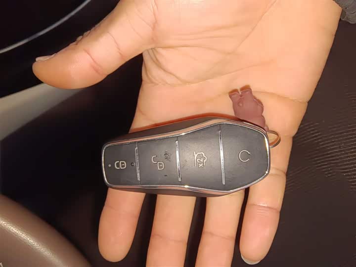 Фото 9 - BYD Qin Plus