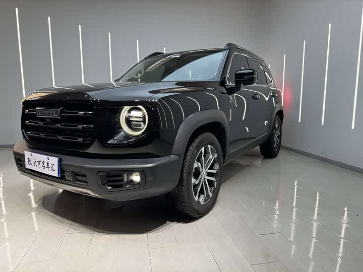 Фото 1 - Haval Dargo