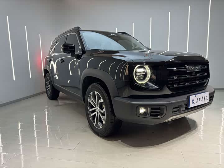 Фото 3 - Haval Dargo