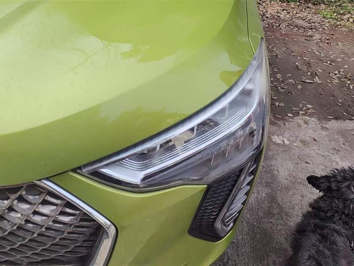 Фото 5 - Haval Jolion