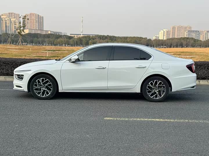 Фото 3 - Hyundai Mistra