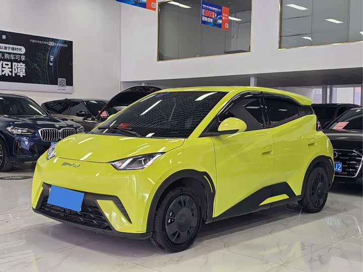 Фото 1 - BYD Seagull