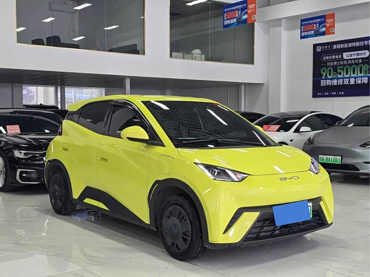 Фото 3 - BYD Seagull