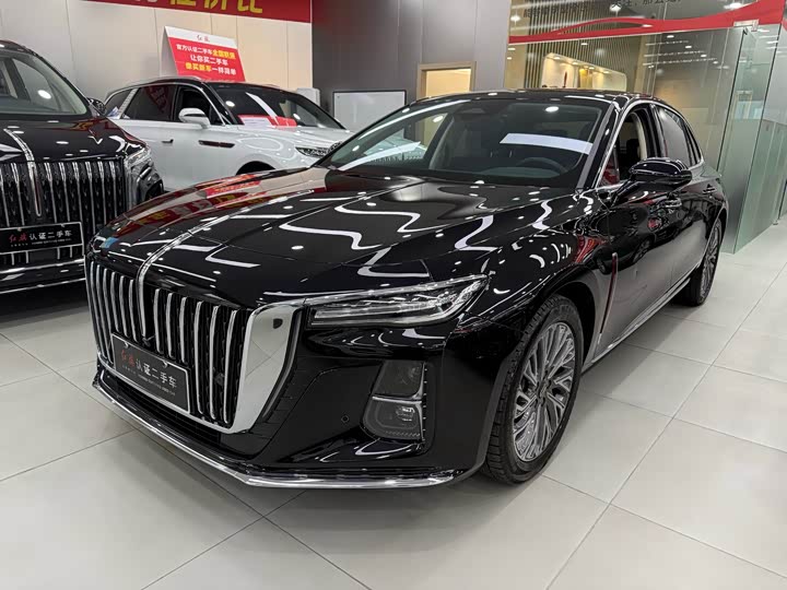 Фото 1 - Hongqi H5