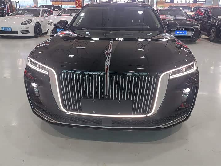 Фото 2 - Hongqi H9