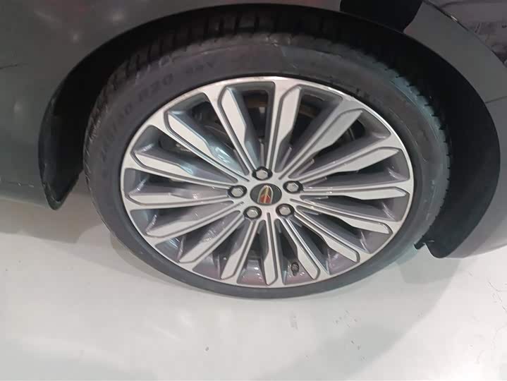 Фото 6 - Hongqi H9