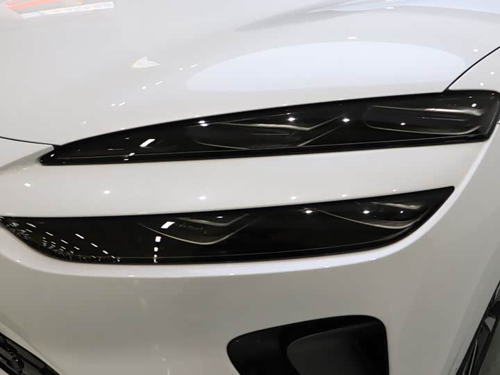 Фото 4 - BYD Sea Lion 06 Hybrid/EV