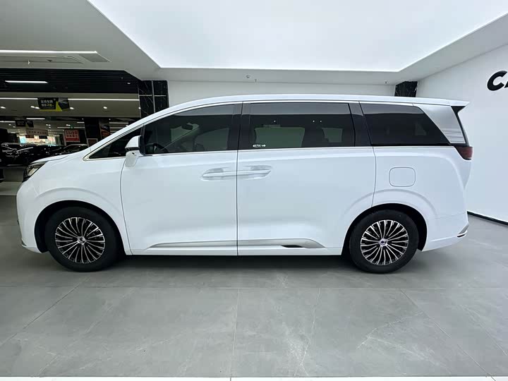 Фото 5 - Denza D9