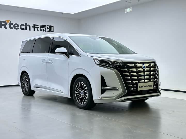 Фото 6 - Denza D9