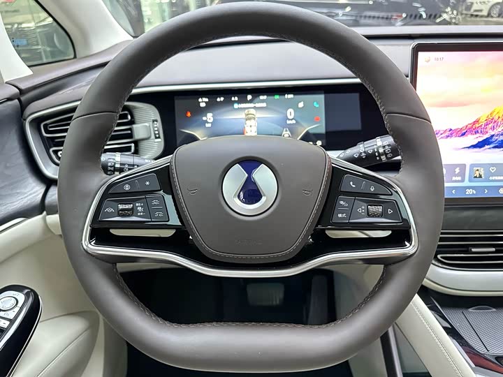 Фото 8 - Denza D9