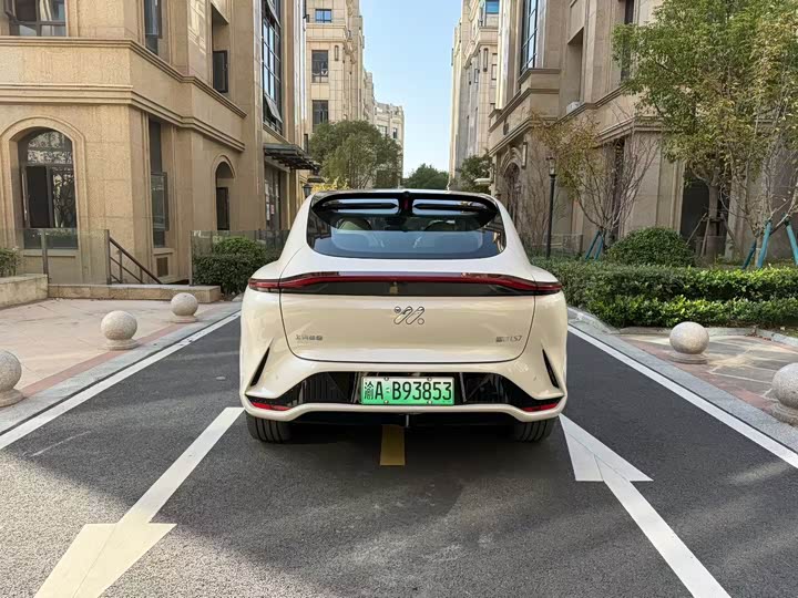 Фото 7 - IM motors LS7