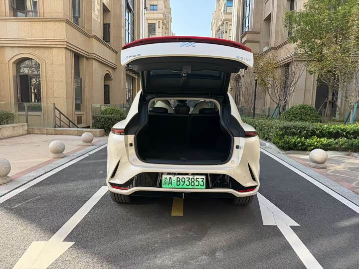 Фото 9 - IM motors LS7