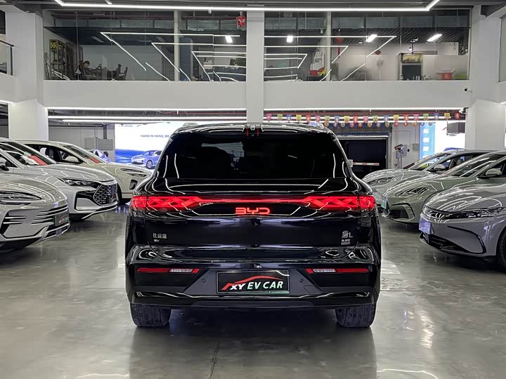 Фото 4 - BYD Tang L