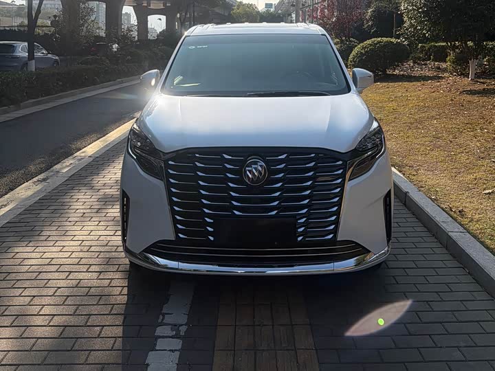 Фото 2 - Buick GL8 ES