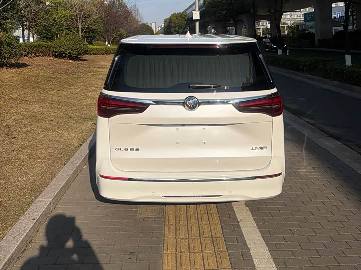 Фото 4 - Buick GL8 ES